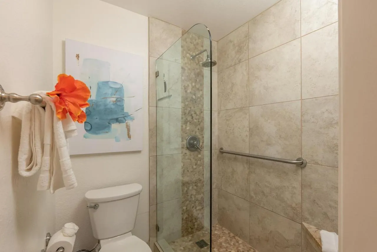 Napili Point B33 1 Bedroom Oceanfront Condo Condo Kahana United States